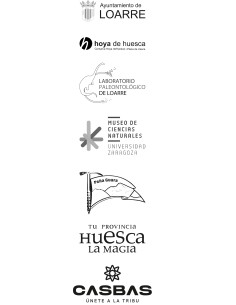 CAMISETA TECNICA CASBAS PALEOTRAIL 2